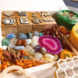 Honey Bee Life Cycle Play Dough Kit