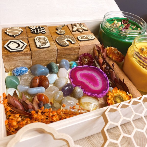 Honey Bee Life Cycle Play Dough Kit