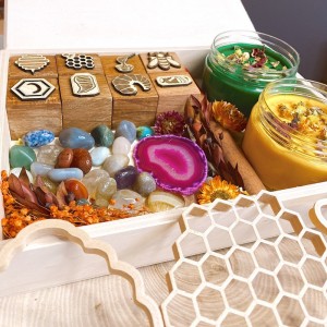 Honey Bee Life Cycle Play Dough Kit