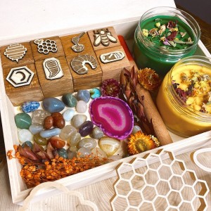 Honey Bee Life Cycle Play Dough Kit