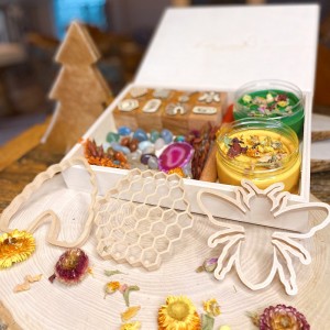 Honey Bee Life Cycle Play Dough Kit