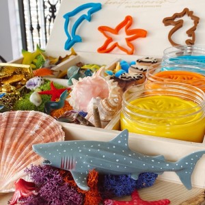 Ocean Deep Play Dough Kit
