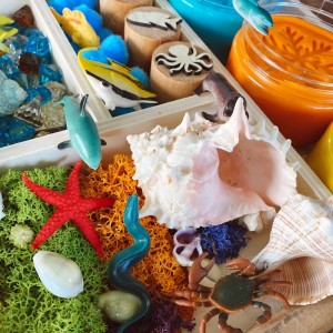 Ocean Deep Play Dough Kit