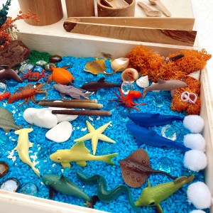 Paradice Sensory Bin