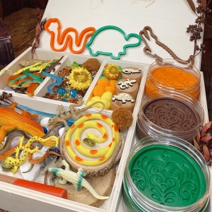 Reptile Play Dough Kit