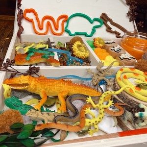 Reptile Play Dough Kit