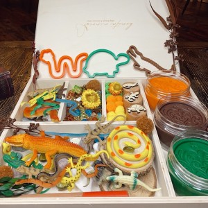 Reptile Play Dough Kit