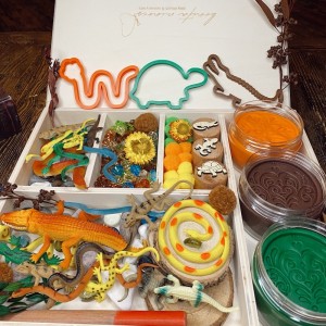 Reptile Play Dough Kit