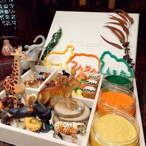 Woodland Play Dough Kit