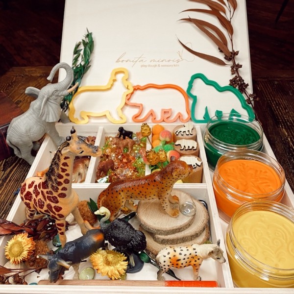 Woodland Play Dough Kit