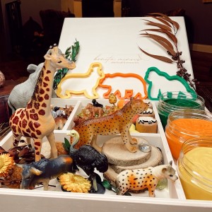 Woodland Play Dough Kit