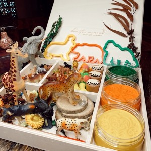 Woodland Play Dough Kit