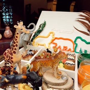 Woodland Play Dough Kit