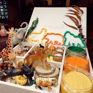 Woodland Play Dough Kit