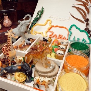 Woodland Play Dough Kit