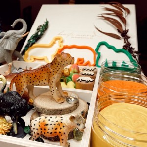 Woodland Play Dough Kit