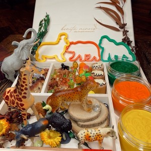 Woodland Play Dough Kit