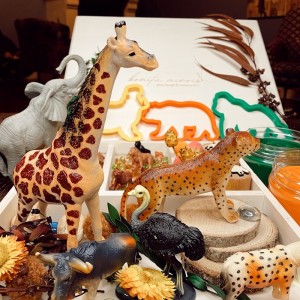 Woodland Play Dough Kit