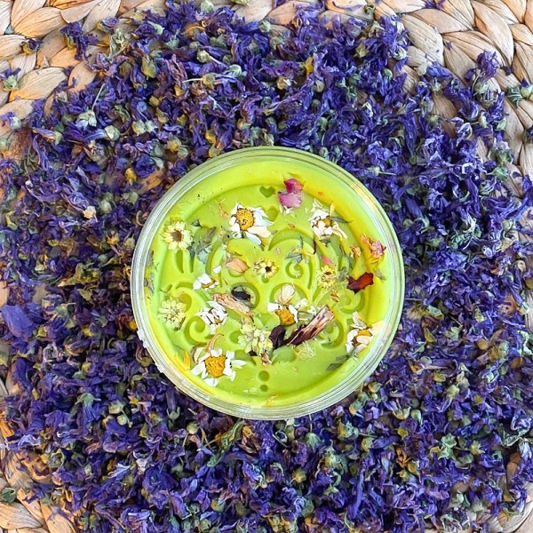 Santa Stamper Oyun Hamuru Damga Seti