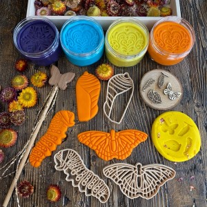 Kelebek Yaşam Döngüsü Monarch