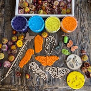 Kelebek Yaşam Döngüsü Minois