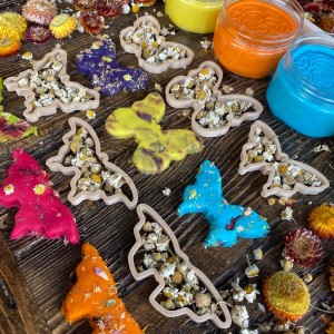 Butterfly Varieties Cutter
