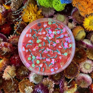 Feel the Tiny Hands Watermelon Net300gram