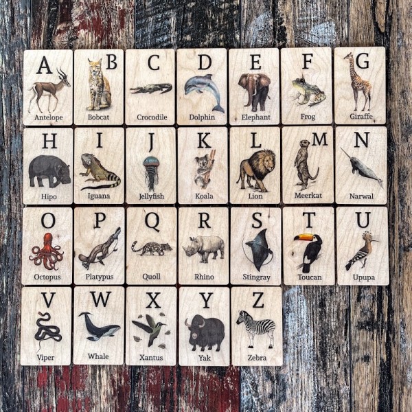 3’lü Sensory Play Dough Magic Exclusive