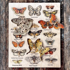 Ahşap Kelebek Türleri Puzzle