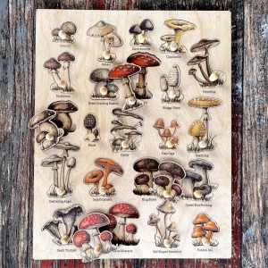 Ahşap Mantar Türleri Puzzle