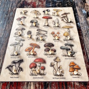 Ahşap Mantar Türleri Puzzle