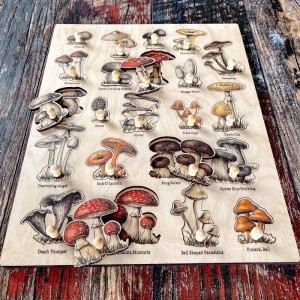 Ahşap Mantar Türleri Puzzle