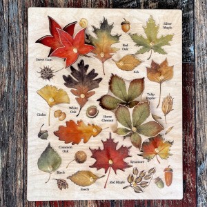 Ahşap Yaprak Türleri Puzzle