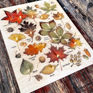 Ahşap Yaprak Türleri Puzzle