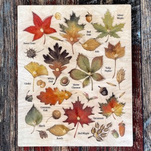 Ahşap Yaprak Türleri Puzzle