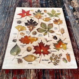 Ahşap Yaprak Türleri Puzzle