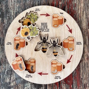 Ahşap Arı Döngüsü Puzzle