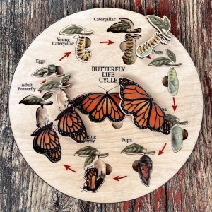 Ahşap Kelebek Döngüsü Puzzle