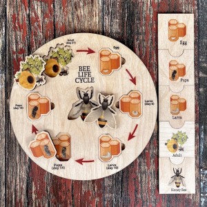 Ahşap Arı Döngüsü Puzzle Set