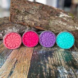 4’lü Oyun Hamuru Princess